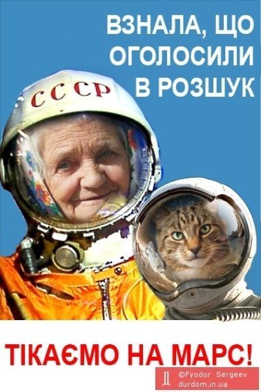 Бабуся, яка переписала хату на кота: інтернет жартує. ФОТО